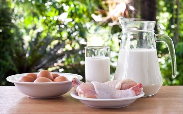 China Press - Protein Plus China Press - Protein Plus